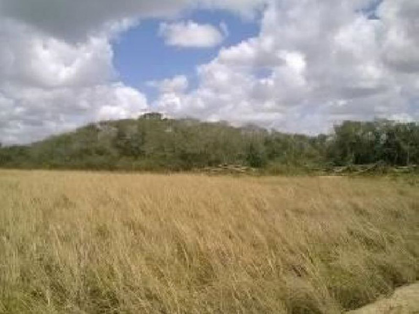 Imagem 5 do Leilão de Fazenda - Fazenda - Pedro Velho/RN