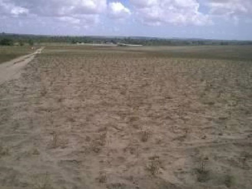 Imagem 1 do Leilão de Área Rural - Zona Rural - Pedro Velho/RN