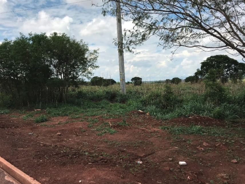 Imagem 3 do Leilão de Terreno - Lageado - Campo Grande/MS
