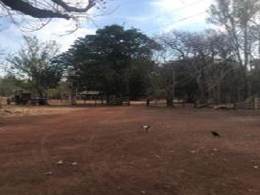 Imagem 7 do Leilão de Área Rural - Fazenda Lagoa Azul Iii - Nova Crixás/GO