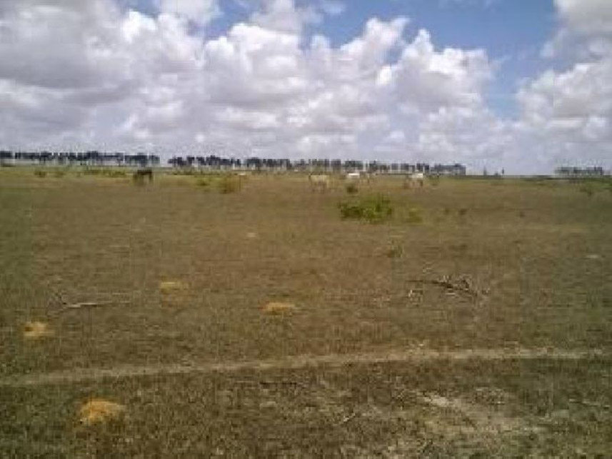 Imagem 4 do Leilão de Fazenda - Fazenda - Espírito Santo/RN