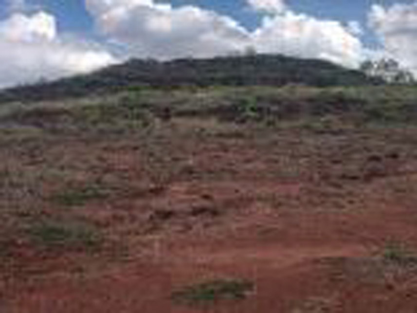 Imagem 3 do Leilão de Área Rural - Área Rural - União de Minas/MG