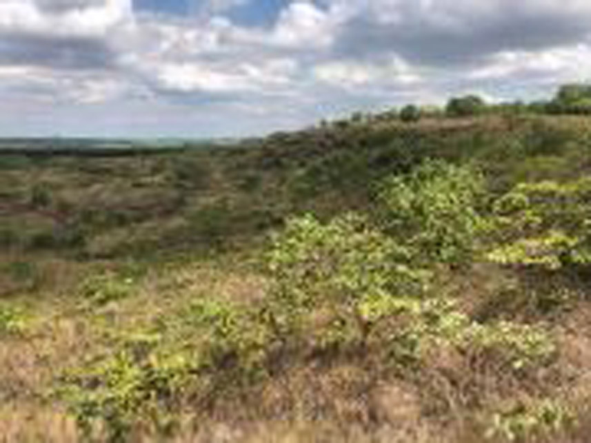 Imagem 2 do Leilão de Área Rural - Área Rural - União de Minas/MG