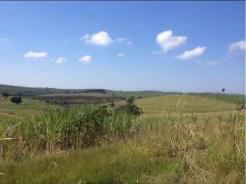 Imagem 12 do Leilão de Área Rural - Faxinal - Itatinga/SP