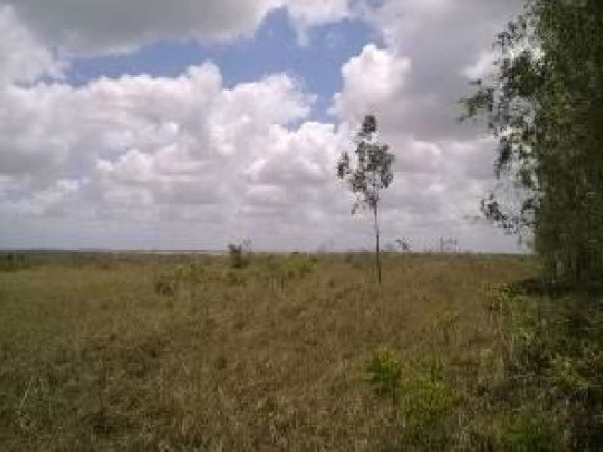 Imagem 6 do Leilão de Fazenda - Fazenda - Pedro Velho/RN
