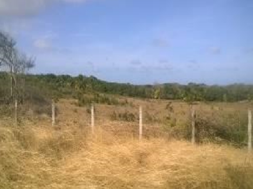 Imagem 1 do Leilão de Terreno - Zona Rural - Nísia Floresta/RN