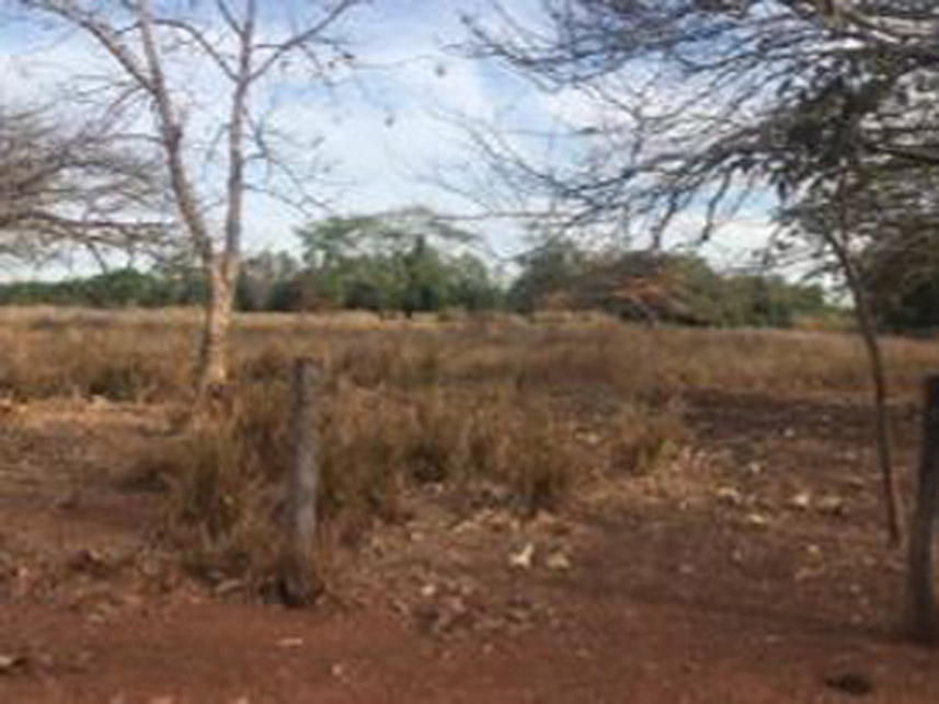 Imagem 6 do Leilão de Área Rural - Fazenda Lagoa Azul Iii - Nova Crixás/GO