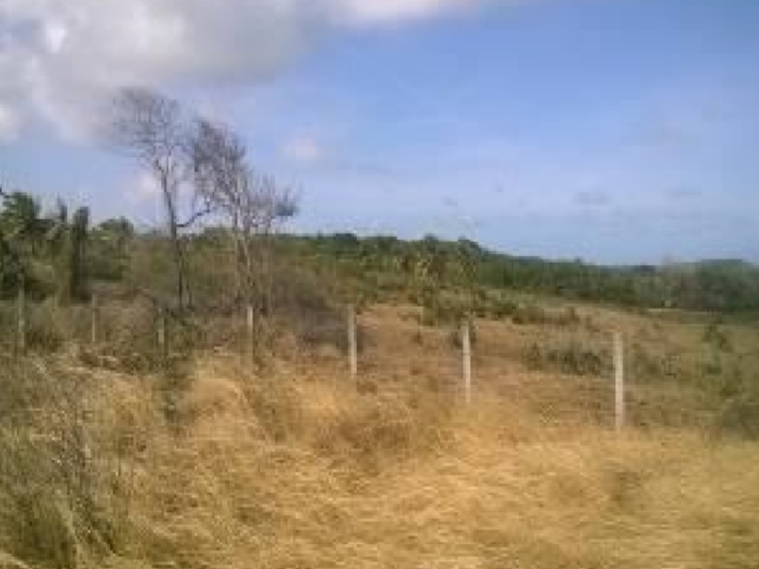 Imagem 2 do Leilão de Terreno - Zona Rural - Nísia Floresta/RN