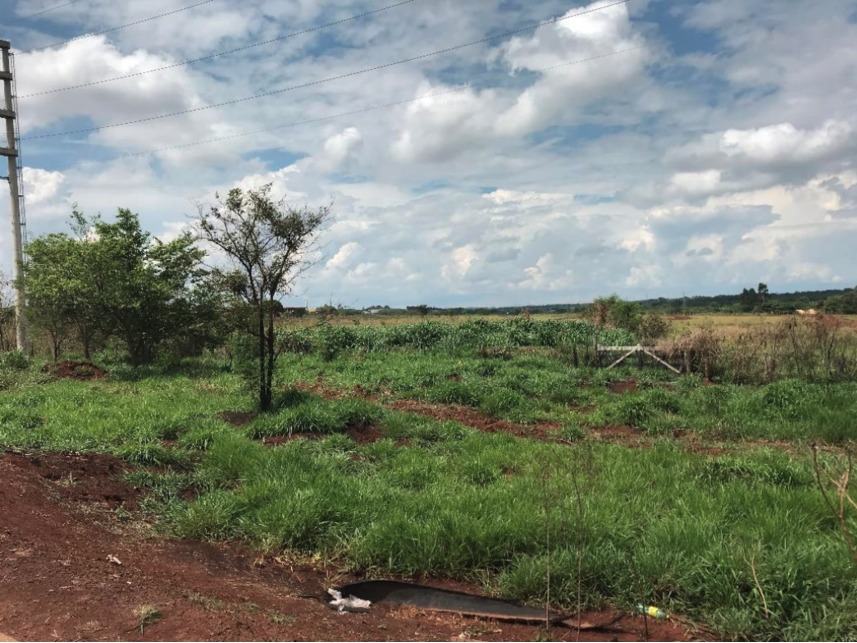 Imagem 2 do Leilão de Terreno - Lageado - Campo Grande/MS