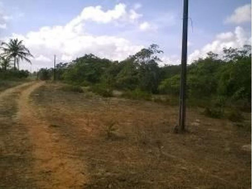 Imagem 6 do Leilão de Área Rural - Zona Rural - Nísia Floresta/RN