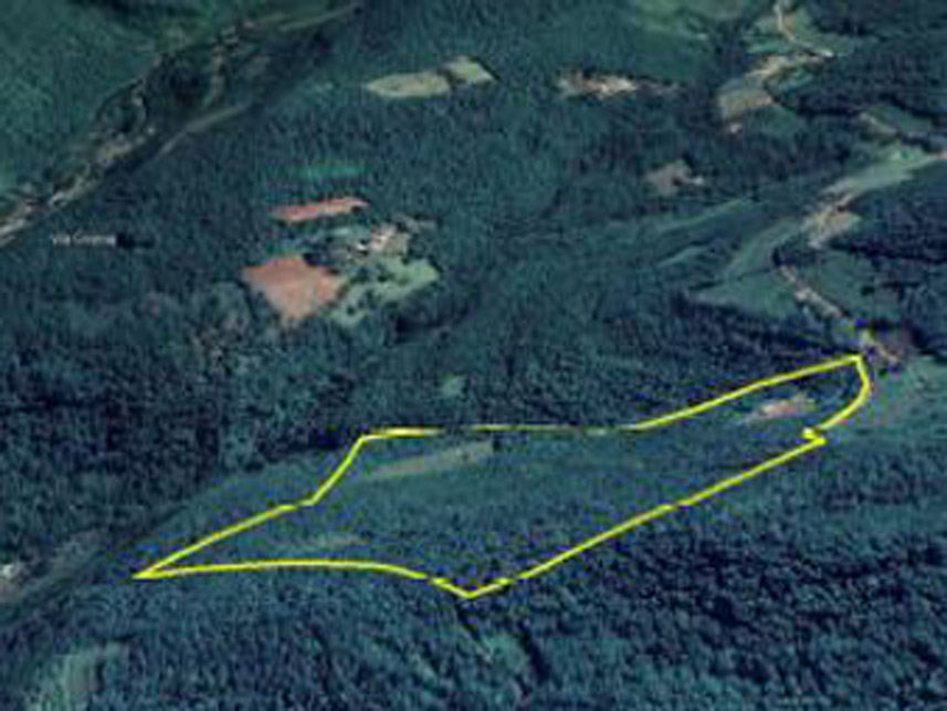 Imagem 13 do Leilão de Área Rural - Distrito de Galópolis - Caxias do Sul/RS