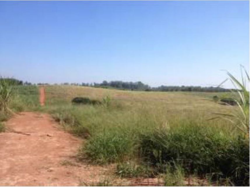 Imagem 2 do Leilão de Área Rural - Faxinal - Itatinga/SP