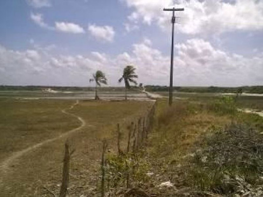 Imagem 4 do Leilão de Área Rural - Zona Rural - Nísia Floresta/RN