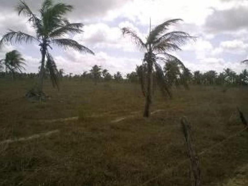 Imagem 5 do Leilão de Área Rural - Zona Rural - Nísia Floresta/RN