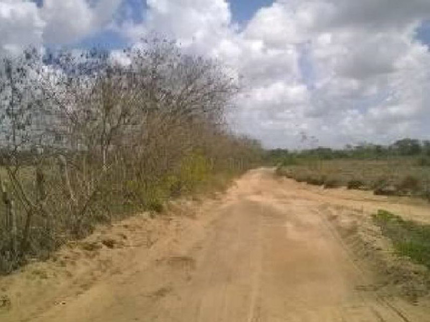 Imagem 6 do Leilão de Fazenda - Fazenda - Espírito Santo/RN