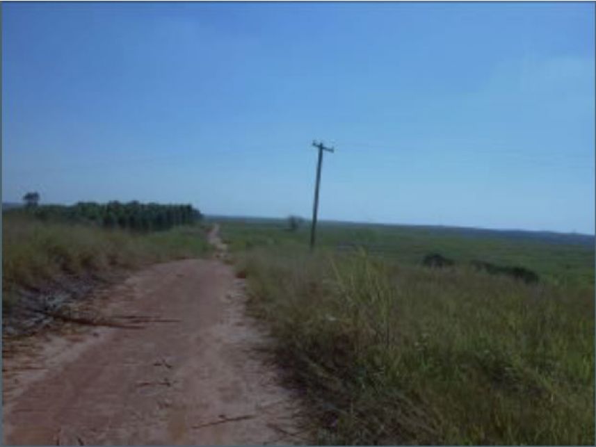 Imagem 3 do Leilão de Área Rural - Faxinal - Itatinga/SP