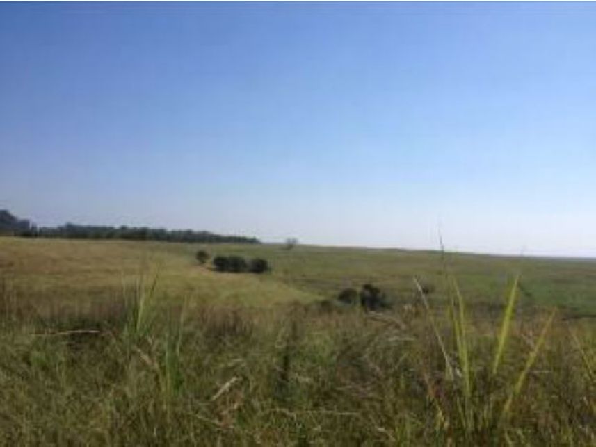 Imagem 10 do Leilão de Área Rural - Faxinal - Itatinga/SP