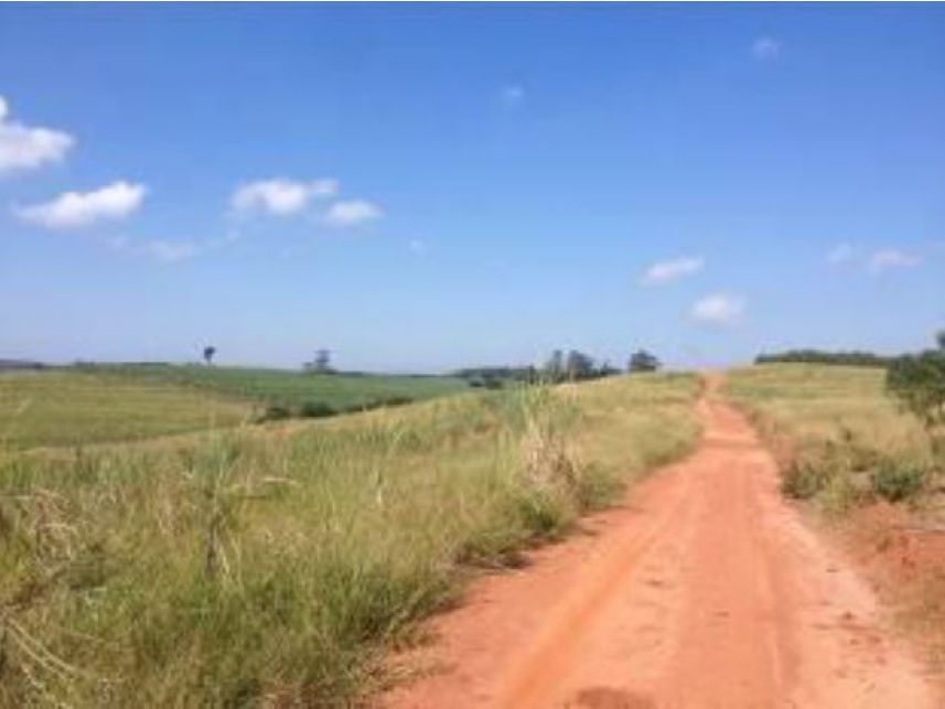 Imagem 8 do Leilão de Área Rural - Faxinal - Itatinga/SP