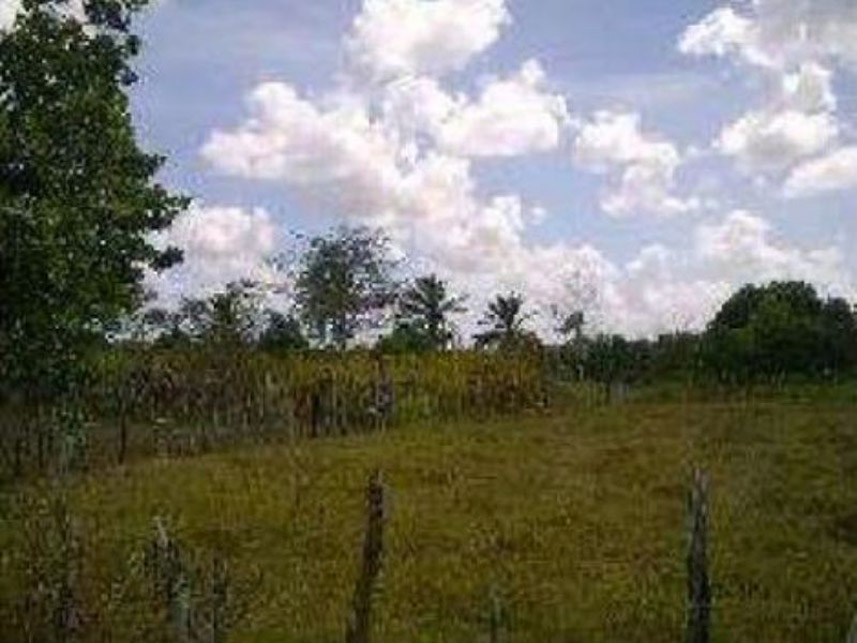 Imagem 7 do Leilão de Área Rural - Zona Rural - Pedro Velho/RN