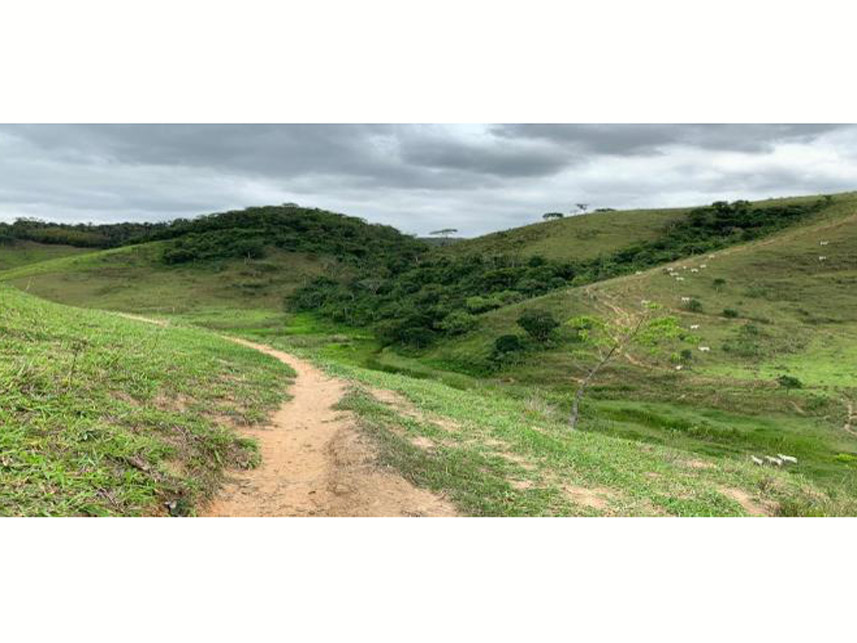 Imagem 9 do Leilão de Área Rural - Rancho Grande - Bananal/SP