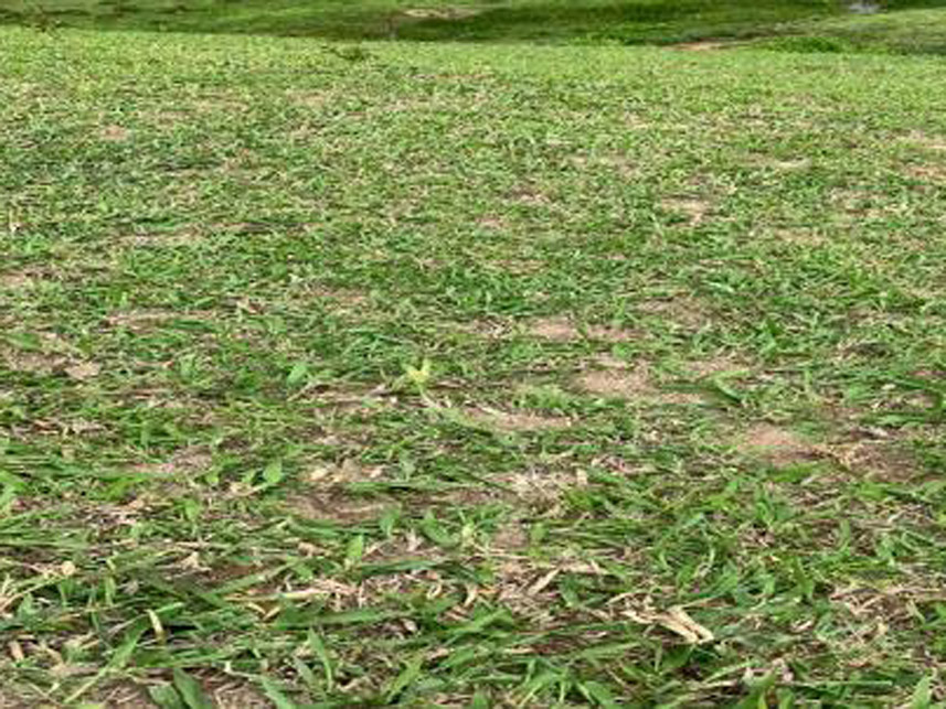 Imagem 2 do Leilão de Área Rural - Rancho Grande - Bananal/SP