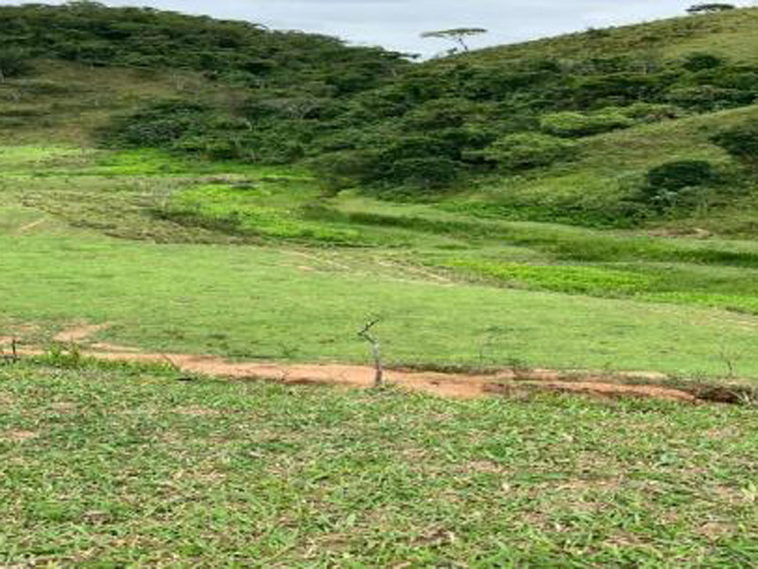 Imagem 10 do Leilão de Área Rural - Rancho Grande - Bananal/SP