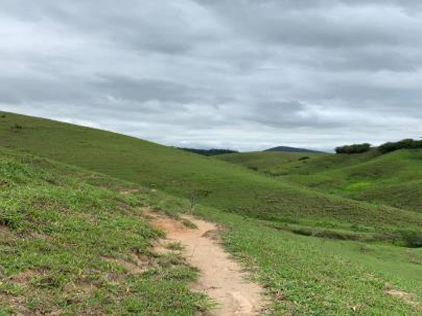 Imagem 4 do Leilão de Área Rural - Rancho Grande - Bananal/SP