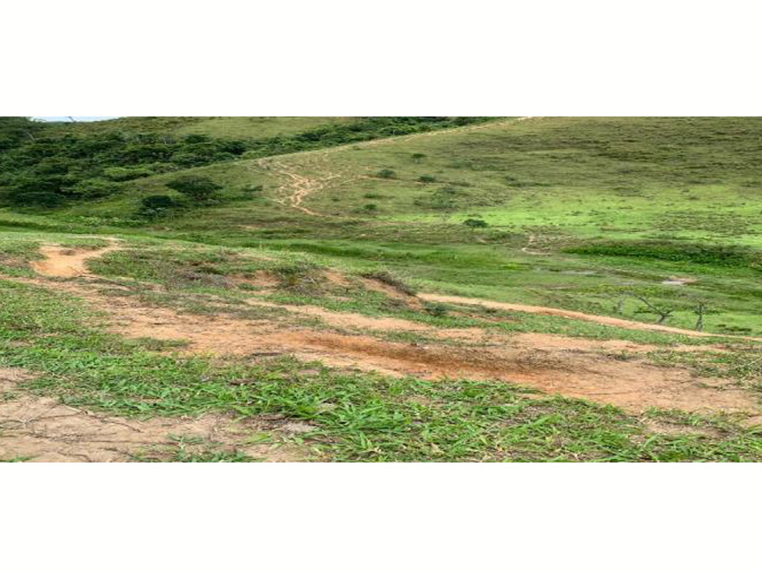 Imagem 11 do Leilão de Área Rural - Rancho Grande - Bananal/SP
