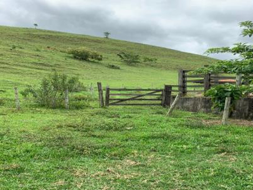 Imagem 1 do Leilão de Área Rural - Rancho Grande - Bananal/SP