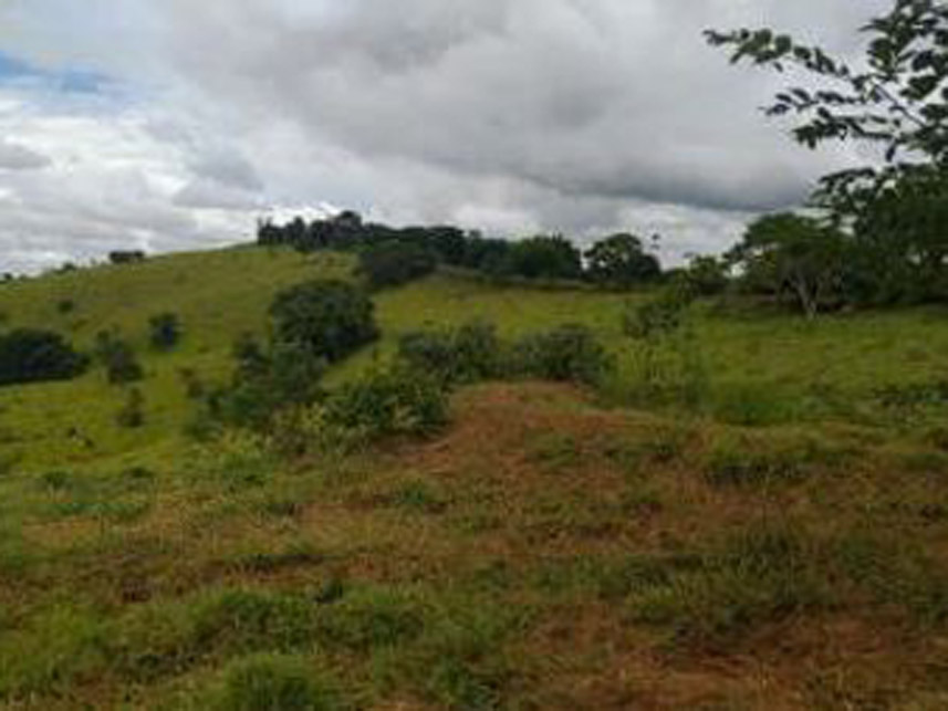 Imagem 7 do Leilão de Área Rural - Área Rural - Elói Mendes/MG