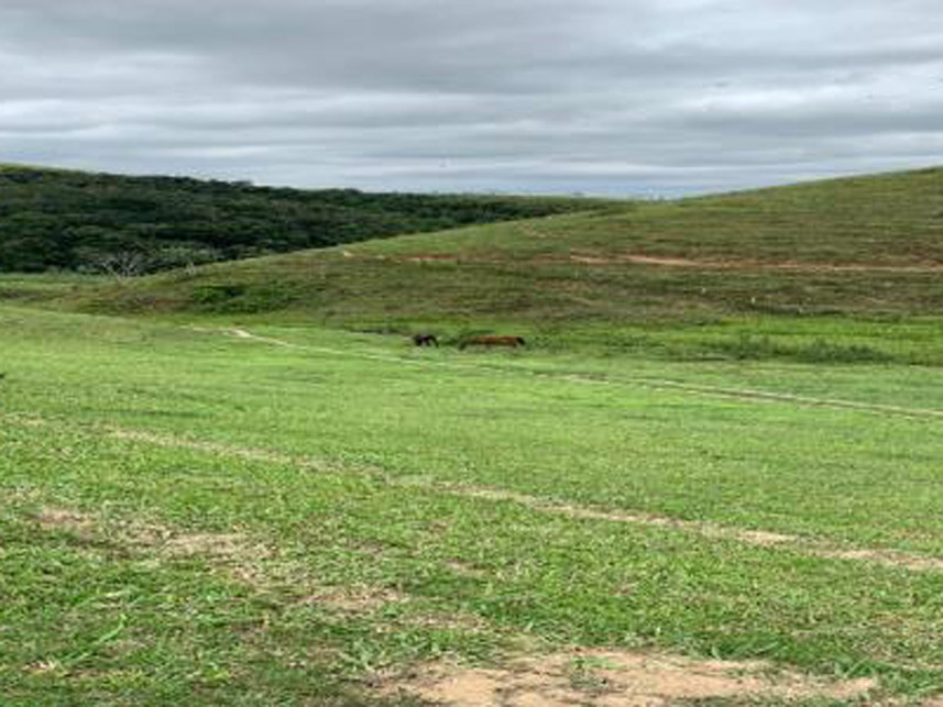 Imagem 3 do Leilão de Área Rural - Rancho Grande - Bananal/SP