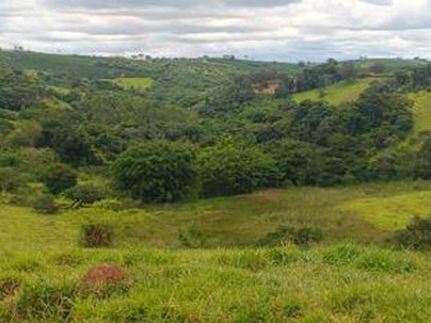 Imagem 8 do Leilão de Área Rural - Área Rural - Elói Mendes/MG