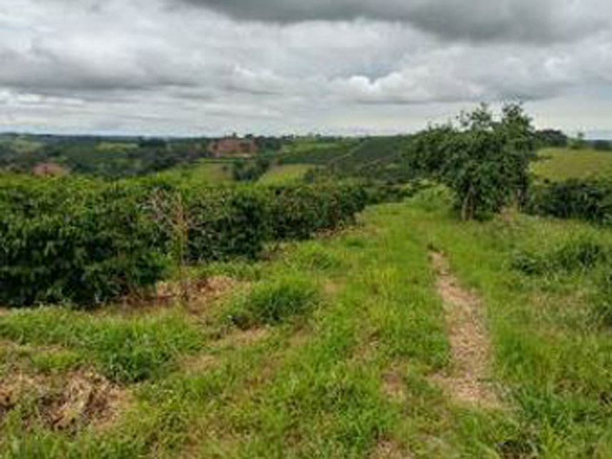 Imagem 3 do Leilão de Área Rural - Área Rural - Elói Mendes/MG