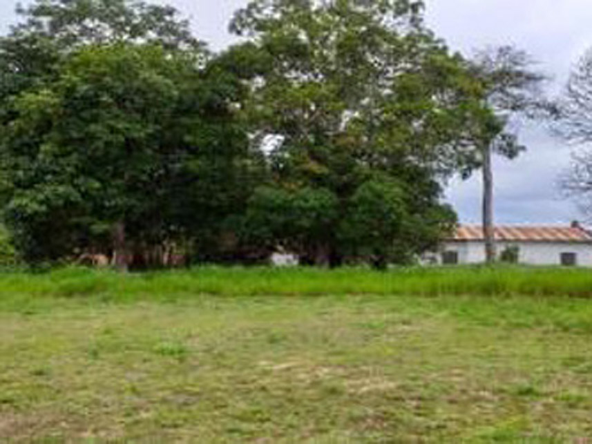 Imagem 3 do Leilão de Terreno - Nossa Senhora das Graças - Cruzeiro do Sul/AC