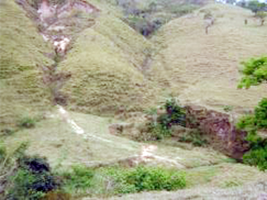 Imagem 1 do Leilão de Área Rural - Área Rural - Silveirânia/MG