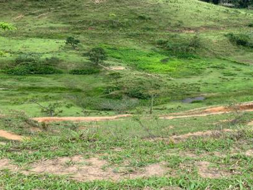 Imagem 7 do Leilão de Área Rural - Rancho Grande - Bananal/SP