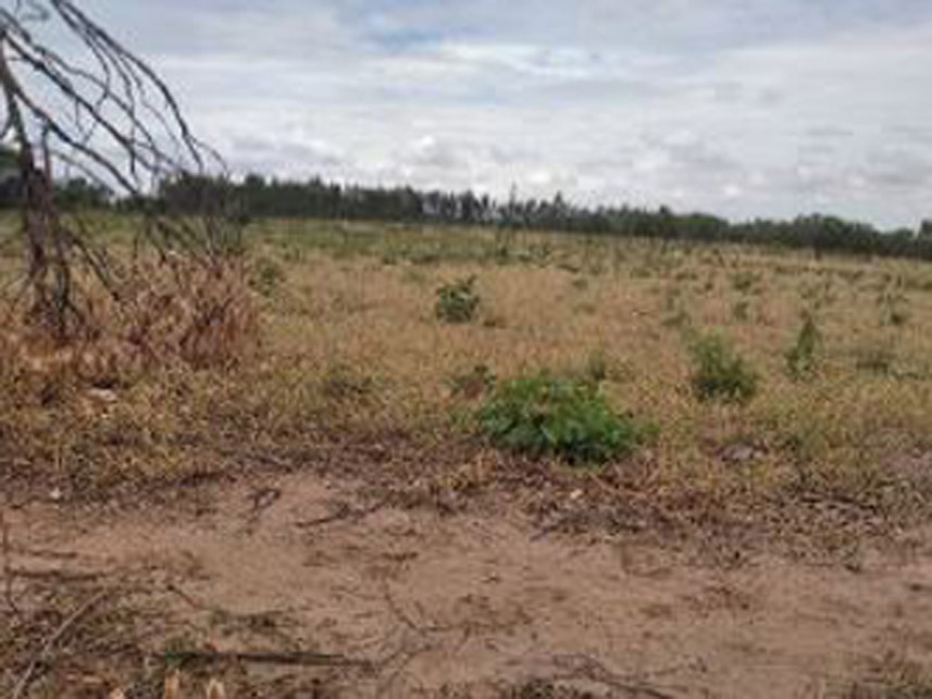 Imagem 2 do Leilão de Área Rural - Fazenda Barreirão - Presidente Olegário/MG