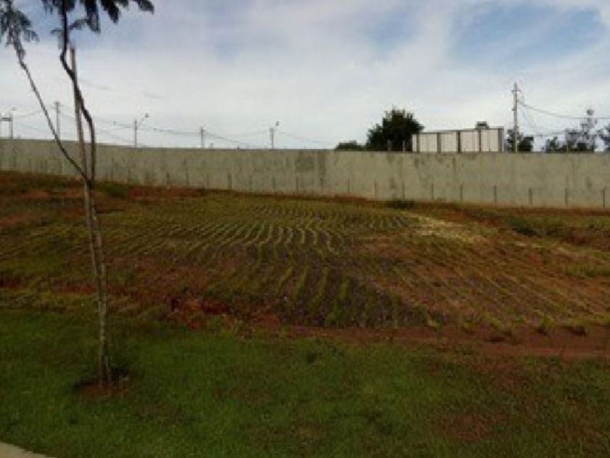 Imagem 5 do Leilão de Terreno - Loteamento Residencial Pedra Alta - Campinas/SP