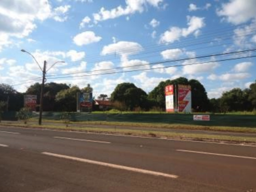 Imagem 4 do Leilão de Terreno - Vila Claudia - Assis/SP