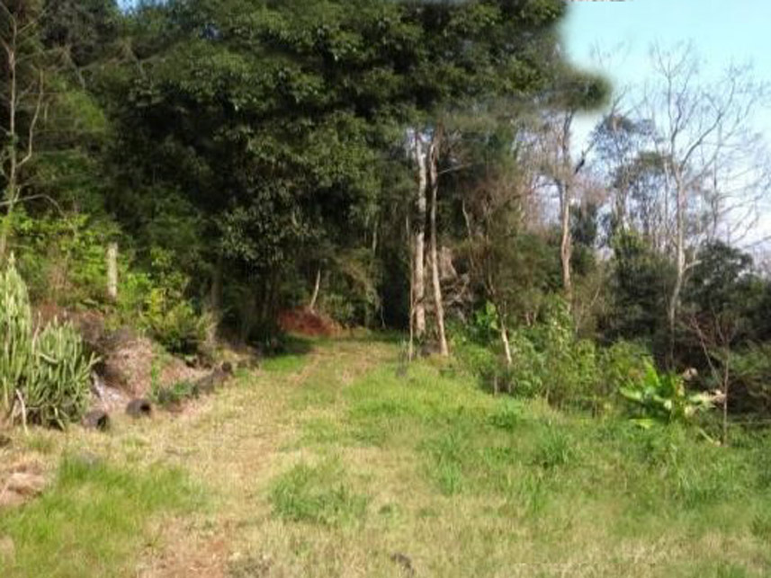 Imagem 6 do Leilão de Área Rural - Distrito de Galópolis - Caxias do Sul/RS