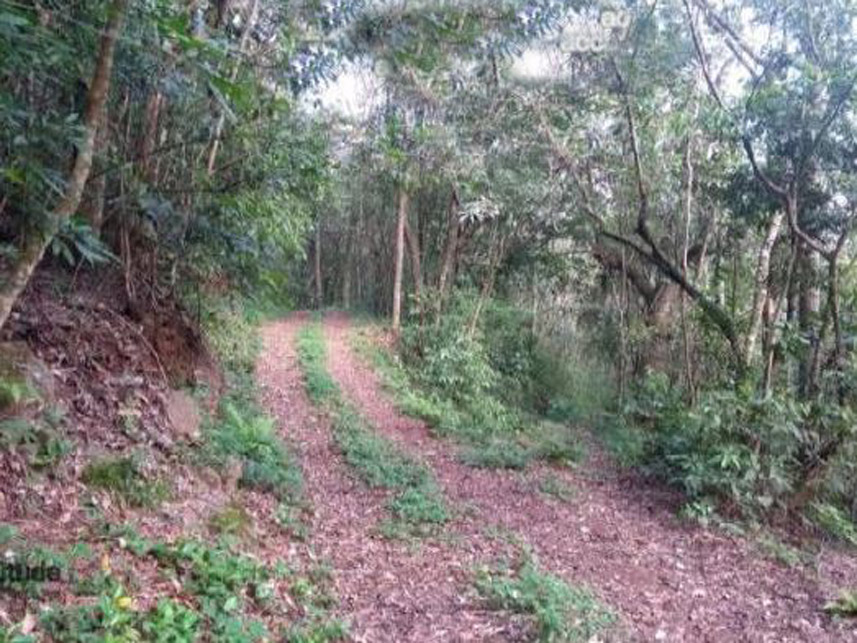 Imagem 4 do Leilão de Área Rural - Distrito de Galópolis - Caxias do Sul/RS