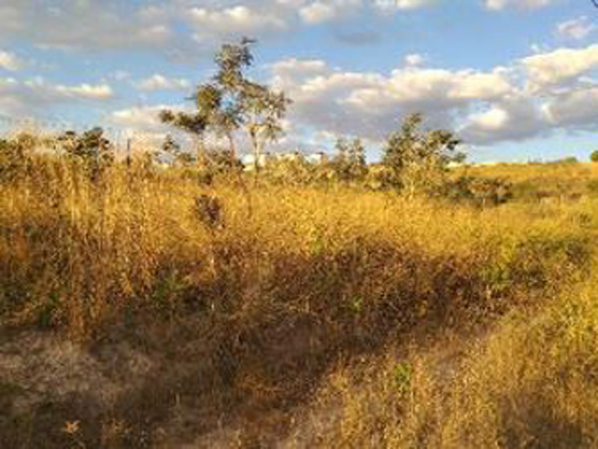 Imagem 3 do Leilão de Terreno - Jardim da Barragem Iv - Águas Lindas de Goiás/GO