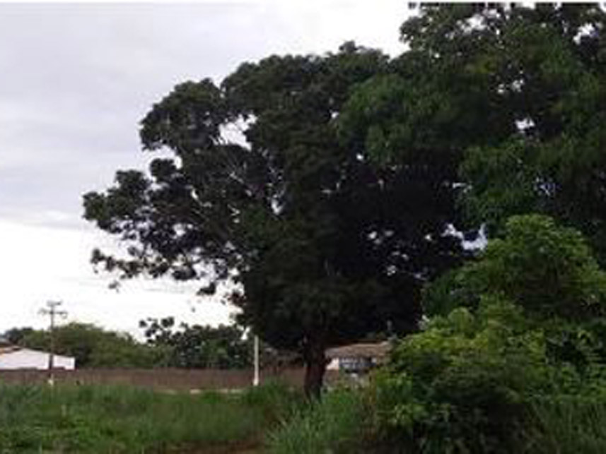 Imagem 2 do Leilão de Terreno - Entrocamento - Porto Franco/MA