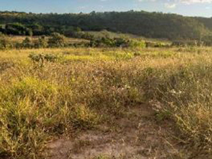 Imagem 5 do Leilão de Terreno - Jardim da Barragem Iv - Águas Lindas de Goiás/GO