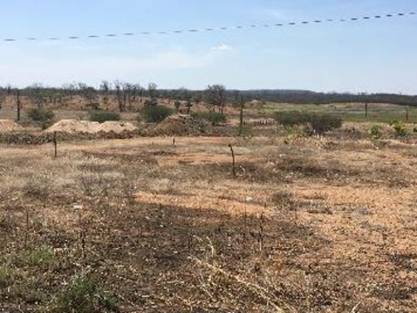 Imagem 5 do Leilão de Área Rural - Sítio Palmeira - Lavras da Mangabeira/CE