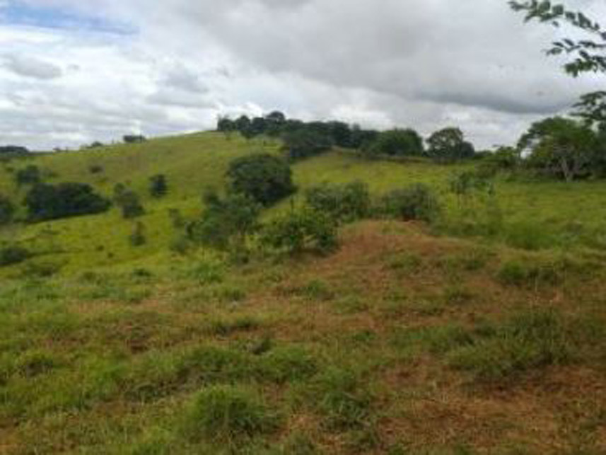Imagem 6 do Leilão de Área Rural - Córrego Grande Ou Cabeceira do Córrego Grande - Elói Mendes/MG