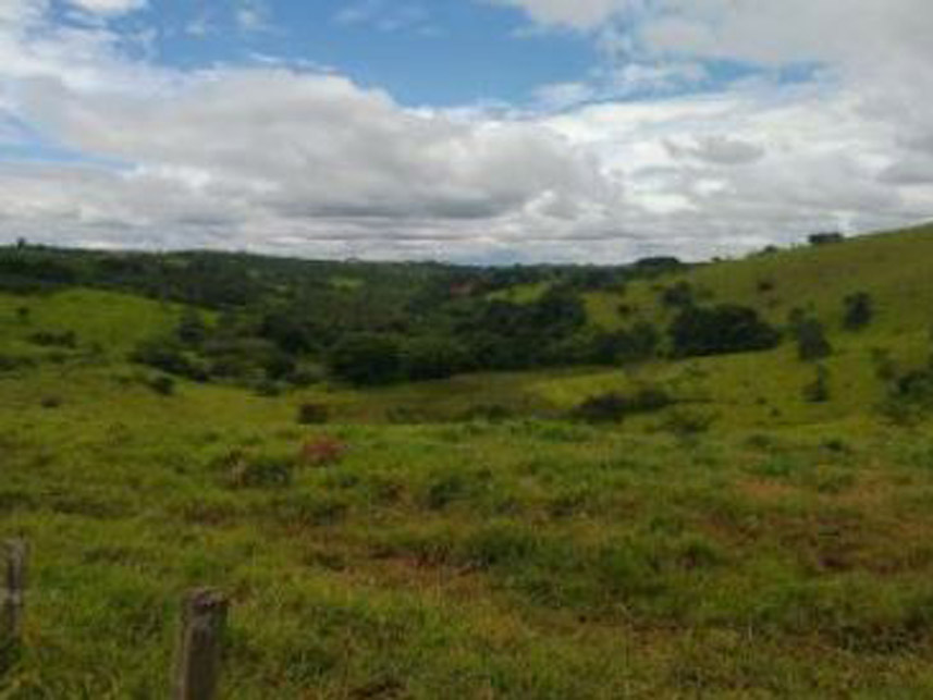 Imagem 10 do Leilão de Área Rural - Córrego Grande Ou Cabeceira do Córrego Grande - Elói Mendes/MG