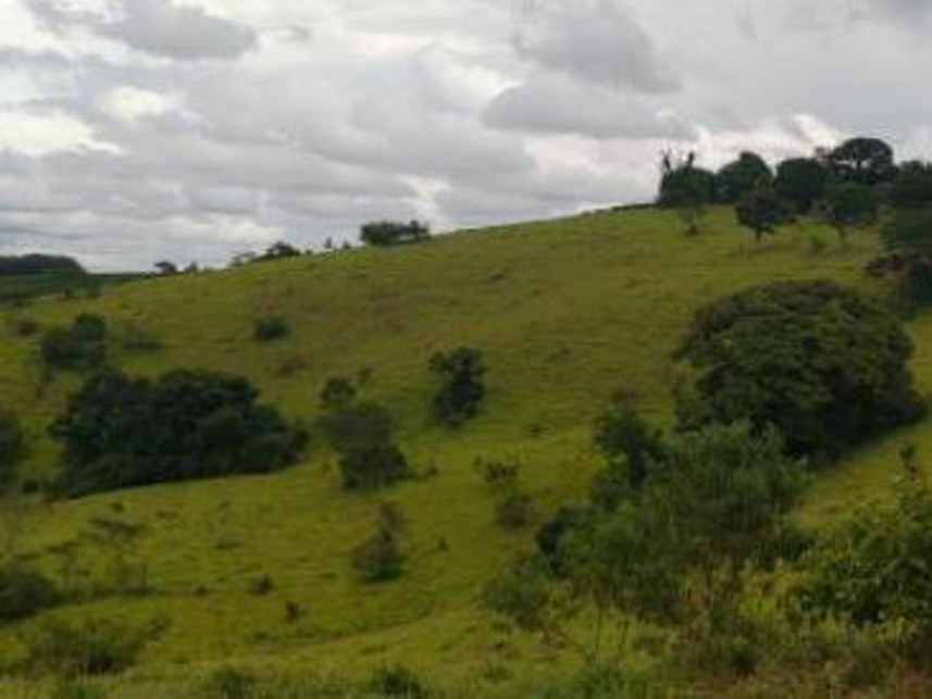 Imagem 9 do Leilão de Área Rural - Córrego Grande Ou Cabeceira do Córrego Grande - Elói Mendes/MG
