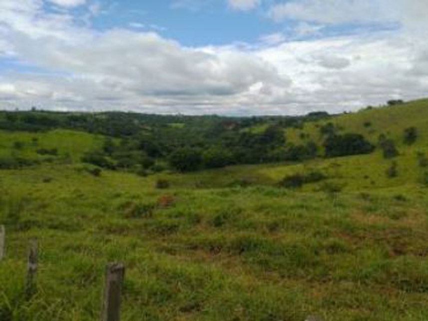 Imagem 5 do Leilão de Área Rural - Córrego Grande Ou Cabeceira do Córrego Grande - Elói Mendes/MG