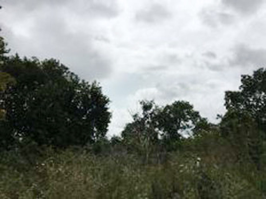 Imagem 5 do Leilão de Área Rural - Zona Rural - Rio Sono/TO